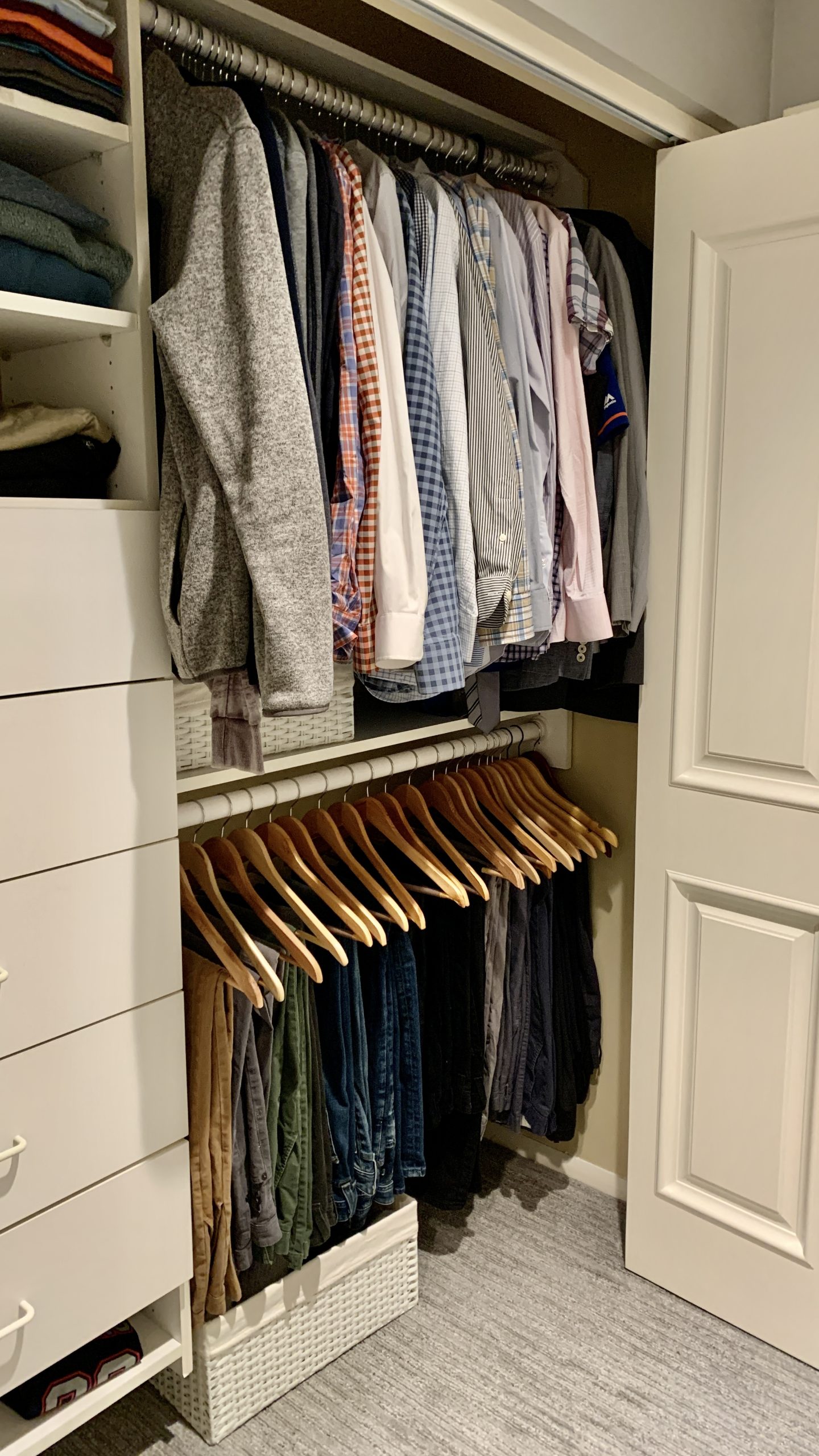 The Dance of Order and Chance: How Life Thrives